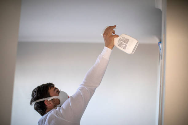 Best Attic Mold Removal  in Gallup, NM